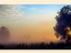 elbtalmorgen