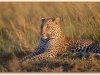 portfolio_028_0