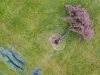 DJI_0006