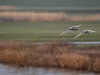 elbtal_043
