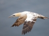 helgoland_001