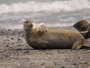 helgoland_005