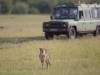 masaimara_026