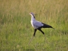 masaimara_056