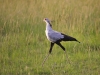 masaimara_056