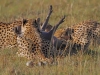 masaimara_112