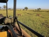 masaimara_141