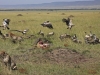 masaimara_153