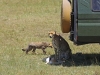 masaimara_174