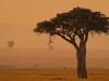 masaimara_223