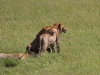 masaimara_241