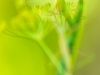 KG5_2147s